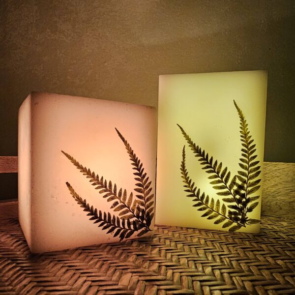 Square Hollow Fern Candles - 2 candles - Image 4