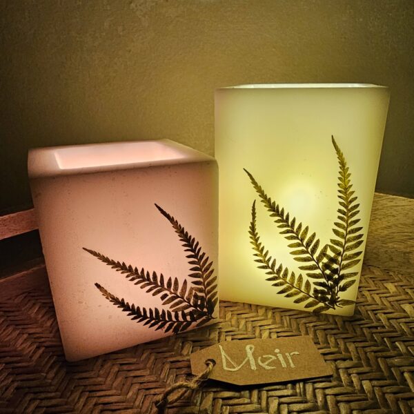 Square Hollow Fern Candles - 2 candles